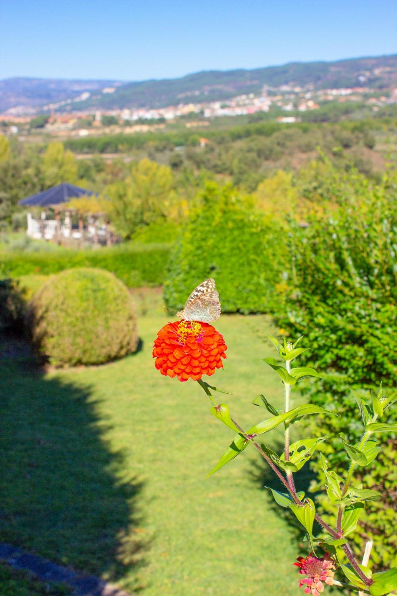 Hotel Rural Casa De Samaioes Chaves Εξωτερικό φωτογραφία
